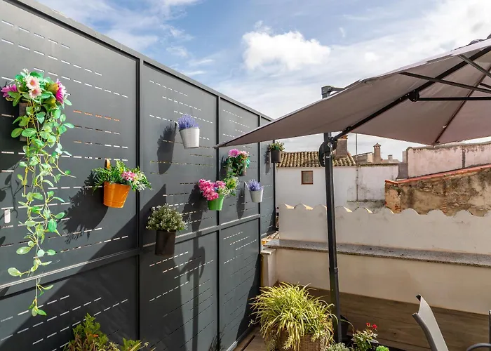 APARTAMENTOS BICO DE RODAS un LUJO RURAL