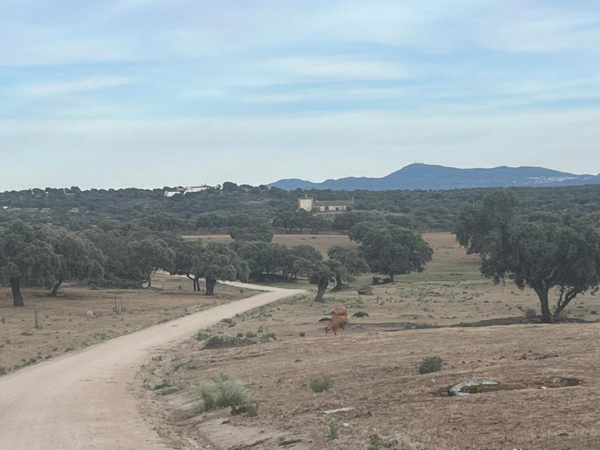 Holiday home Bico De Rodas A Rural Luxury